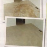 carpet cleaning Riverside